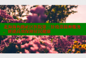 北海海角路社区医院第三针疫苗接种服务，便捷高效保障居民健康