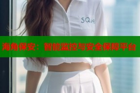海角保安：智能监控与安全保障平台