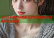 站长工具助力海角社区优化管理与内容解析全面指南