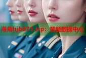 海角hjb071.tcp：智能数据中心