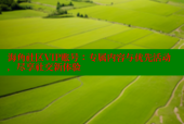 海角社区VIP账号：专属内容与优先活动，尽享社交新体验