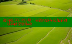 海角社区VIP账号：专属内容与优先活动，尽享社交新体验