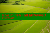 海角社区SIP平台：智能监控与高效通讯的完美结合