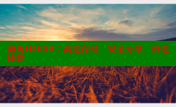 海角HJB5B：高速存储，安全分享，极速体验