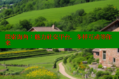 探索海角：魅力社交平台，多样互动等你来