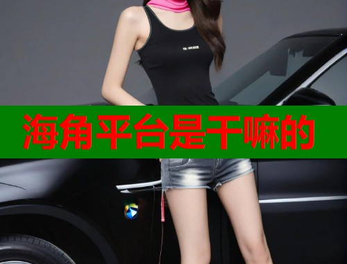 海角平台是干嘛的  第2张