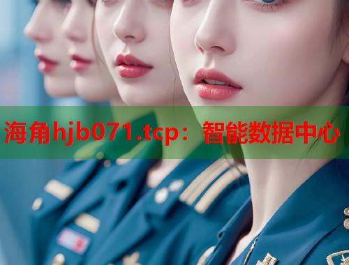 海角hjb071.tcp：智能数据中心  第1张