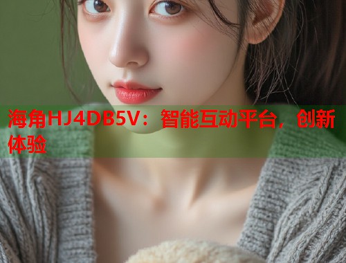 海角HJ4DB5V：智能互动平台，创新体验  第1张