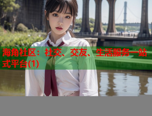 海角社区：社交、交友、生活服务一站式平台(1)  第1张