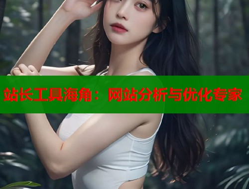 站长工具海角：网站分析与优化专家  第1张