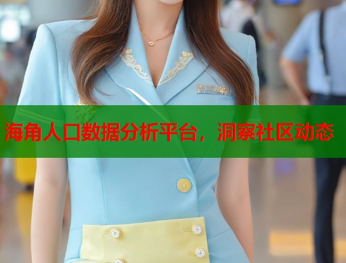 海角人口数据分析平台，洞察社区动态  第1张
