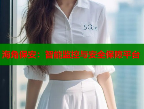 海角保安：智能监控与安全保障平台  第1张