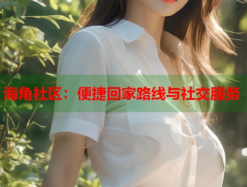 海角社区：便捷回家路线与社交服务  第1张