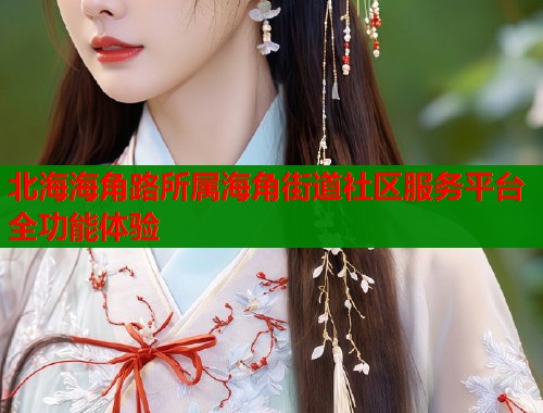 北海海角路所属海角街道社区服务平台全功能体验  第2张