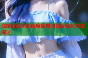 海角社区访问速度缓慢问题及优化方案探讨
