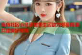 海角社区小灵灵智慧生活助力邻里和谐共建美好家园