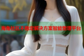 海角社区不稳定解决方案智能管理平台