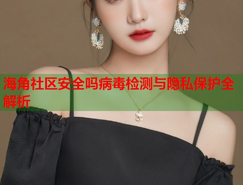 海角社区安全吗病毒检测与隐私保护全解析  第2张