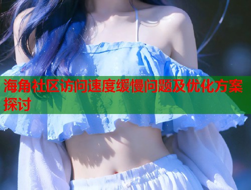 海角社区访问速度缓慢问题及优化方案探讨  第1张