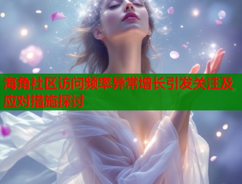 海角社区访问频率异常增长引发关注及应对措施探讨  第1张