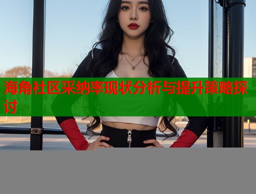 海角社区采纳率现状分析与提升策略探讨  第1张
